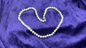 42cm Strand of White Freshwater Pearls