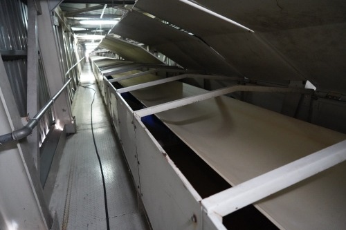 Belt Conveyor from Port, 500mm width, guide pulleys, from port to plant and transfer to Silo, gear unit, 2x90Kw Western Electric motors, 4x Torit Donaldson Dust Collectors, Excludes: Filling Hopper, Load cells, supports and housing of the conveyors