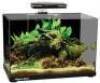 Aqua One Focus 36 Glass Aquarium 36L 50X25X34Cm Black