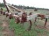 Chisel Plough - 2