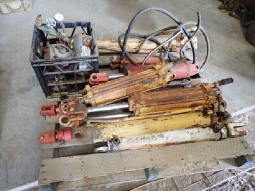 Pallet of Assorted Rams