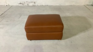 Dion Leather Ottoman - 5