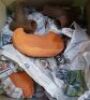 2 x cartons of assorted aquarium rock decorations.