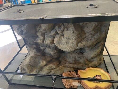 one Large reptile tank 45cm x 90cm x 59cm with 1x water dish and 1 x feeding dish