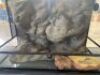 one Large reptile tank 45cm x 90cm x 59cm with 1x water dish and 1 x feeding dish - 2