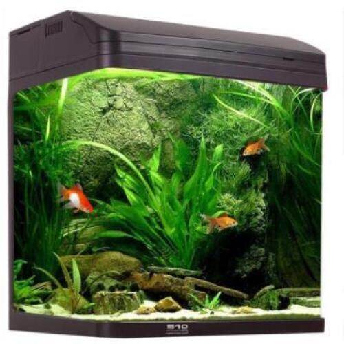 Aqua One AquaStyle 510 - 75L Curved Glass Aquarium.