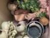 box of assorted tank accessories , feeding dishes, snake bedding, 1 x glow light