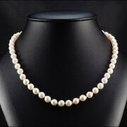 Natural Akoya Pearl Uniform Necklace 7.0 - 7.5mm