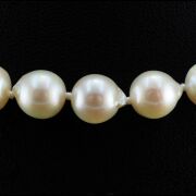 Natural Akoya Pearl Uniform Necklace 7.0 - 7.5mm - 3
