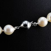 Natural Akoya Pearl Uniform Necklace 7.0 - 7.5mm - 4