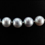 Natural grey Akoya Pearl Uniform Necklace 7.0 - 7.5mm - 3