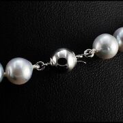 Natural grey Akoya Pearl Uniform Necklace 7.0 - 7.5mm - 4