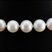 Natural Akoya Pearl Uniform Necklace 8.5 - 9.0mm - 3