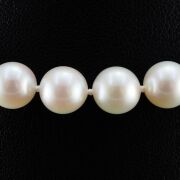 Natural Akoya Pearl Uniform Necklace 7.5 - 8.0mm - 3