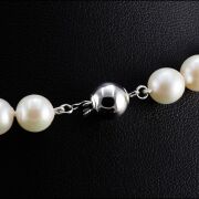 Natural Akoya Pearl Uniform Necklace 7.5 - 8.0mm - 4