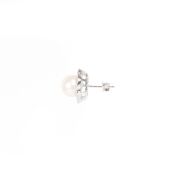 Natural Freshwater Pearl & CZ Set Silver Earrings - 2