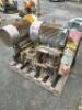 Quantity of 2 x Warman Pumps - 4