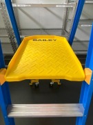 Bailey P170-4FG Industrial Platform Ladder - 5