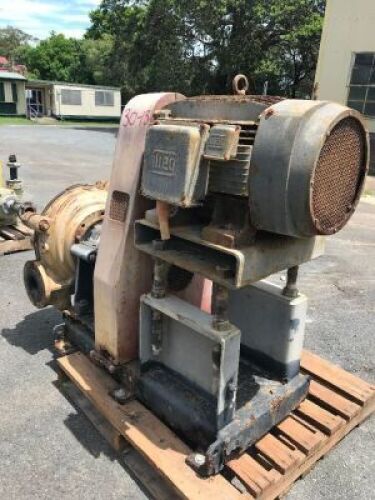 6/4 Warman Pump