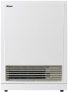 Rinnai EnergySaver Natural Gas Heater K561FTN