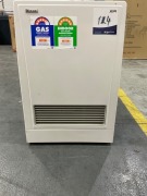 Rinnai EnergySaver Flued Natural Gas Heater K309FTN - 2