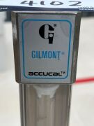 Quantity of 2 x Gilmont Flowmeters - 2