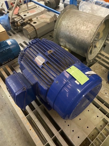 Teco Induction Motor