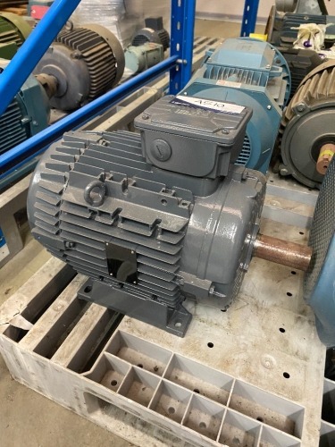 2019 WEG Induction Motor