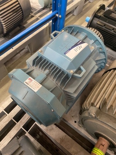 ABB Induction Motor