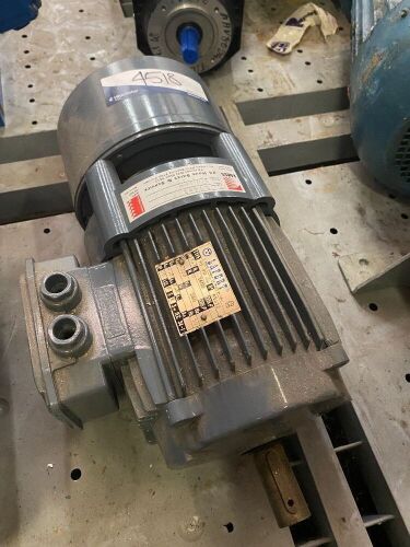 Lafert Induction Motor