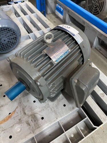 Teco Electric Induction Motor