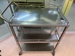 Stainless Steel Trolley With Step Ladder
