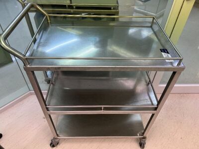 Stainless Steel Trolley With Step Ladder