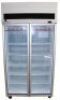 SKOPE UPRIGHT DISPLAY 2 DOOR GLASS FREEZER