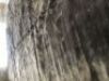 Cadrys 250cm x 370cm Chinese Silk Rug - 2