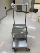 Stainless Steel Trolley - 2