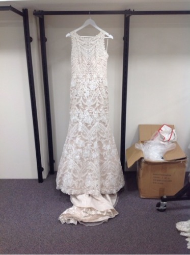 Eddy K Wedding Gown Ek1021- Size :12 Colour: champagne ivory
