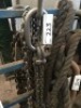 2 Assorted Twin Leg Chain Lifting Slings