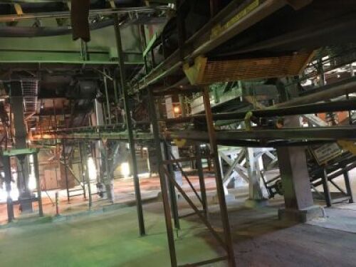 7 x Belt Conveyors