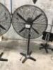 Kinchrome750mm ind. Pedestal fan