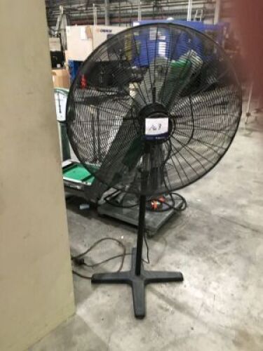 Detroit 750mm ind. Pedestal fan
