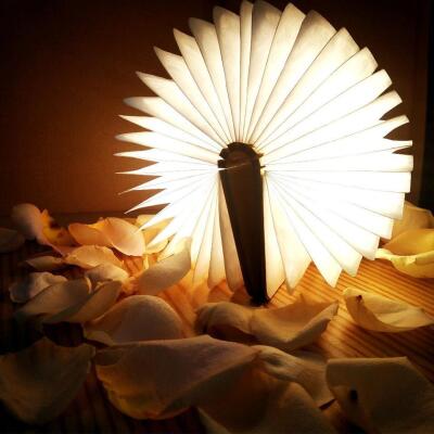 Book Light, Medium