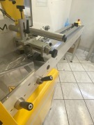 2019 TLM Wiki Flow Packing Machine - 7