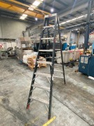 Rhino Industrial Step Ladder - 3