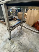 Quantity of 2 x Elevated Conveyors - 7