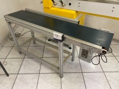 Motorised Belt Conveyor - 2