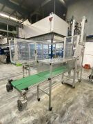 Packing Conveyor with Robot Handler - 2