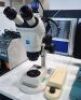 Zeiss Stemi 2000-C Stereo Microscope (Zeiss w-Pl10x23 lens) + Zeiss Axiocam 105 Colour Microscope (Microscope camera, 5 megapixels (2592 x 1944)