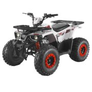 GMX 125cc Hunter Farm Quad Bike - Red