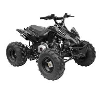 GMX Beast 125cc Quad Bike, Black